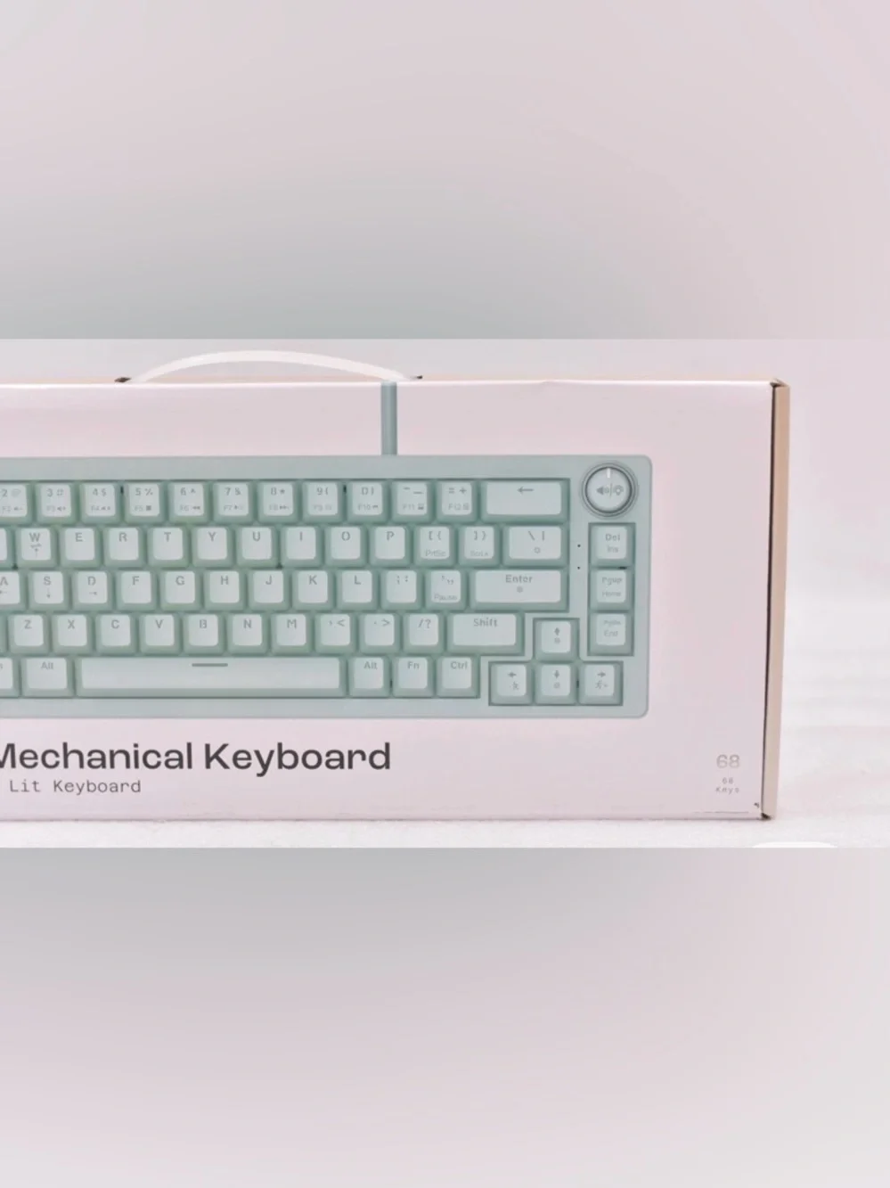 NORTH Compact‎ Mechanical Keyboard 65% Wired Mint Green LED rainbow lighting
